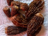Auk&scaron;tasis briedžiukas (lot. Morchella elata)