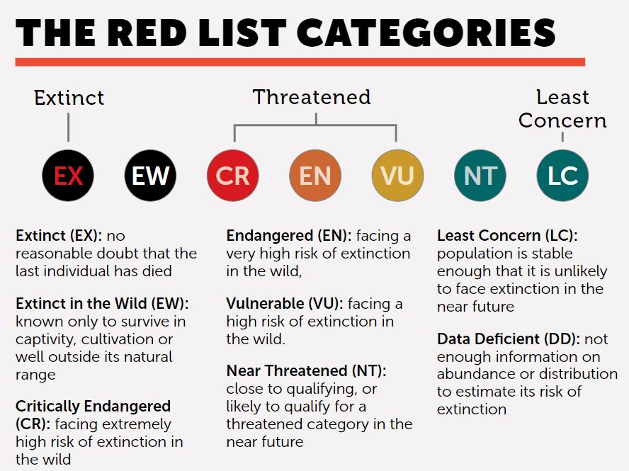 IUCN kategorija ir kriterijai